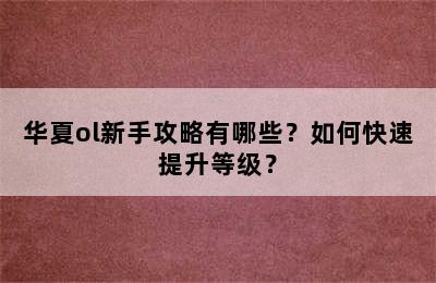 华夏ol新手攻略有哪些？如何快速提升等级？