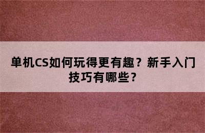 单机CS如何玩得更有趣？新手入门技巧有哪些？