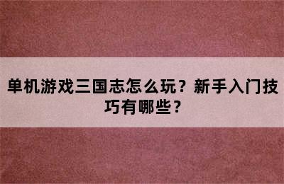 单机游戏三国志怎么玩？新手入门技巧有哪些？