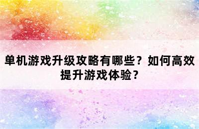 单机游戏升级攻略有哪些？如何高效提升游戏体验？