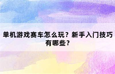 单机游戏赛车怎么玩？新手入门技巧有哪些？