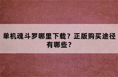 单机魂斗罗哪里下载？正版购买途径有哪些？