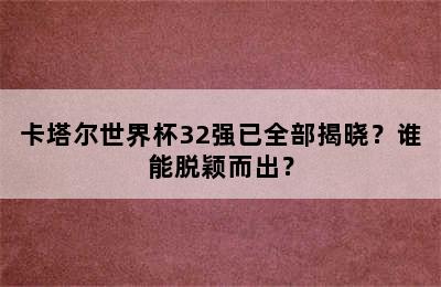 卡塔尔世界杯32强已全部揭晓？谁能脱颖而出？