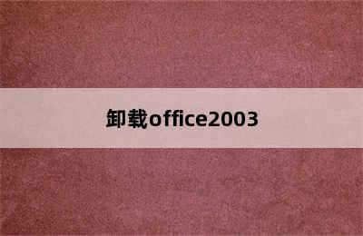 卸载office2003