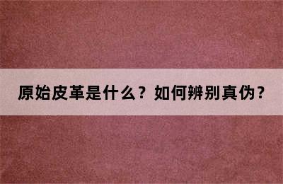 原始皮革是什么？如何辨别真伪？