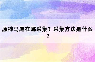 原神马尾在哪采集？采集方法是什么？