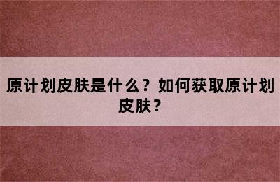 原计划皮肤是什么？如何获取原计划皮肤？