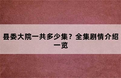 县委大院一共多少集？全集剧情介绍一览