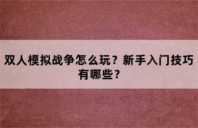 双人模拟战争怎么玩？新手入门技巧有哪些？