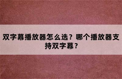 双字幕播放器怎么选？哪个播放器支持双字幕？