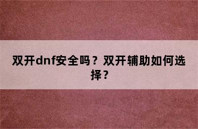 双开dnf安全吗？双开辅助如何选择？