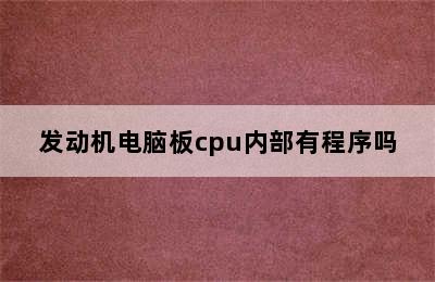 发动机电脑板cpu内部有程序吗