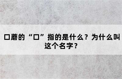 口蘑的“口”指的是什么？为什么叫这个名字？