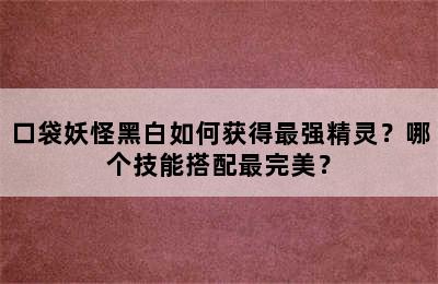 口袋妖怪黑白如何获得最强精灵？哪个技能搭配最完美？