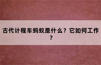 古代计程车蚂蚁是什么？它如何工作？