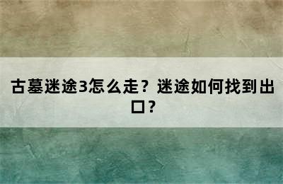 古墓迷途3怎么走？迷途如何找到出口？