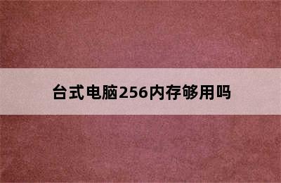 台式电脑256内存够用吗