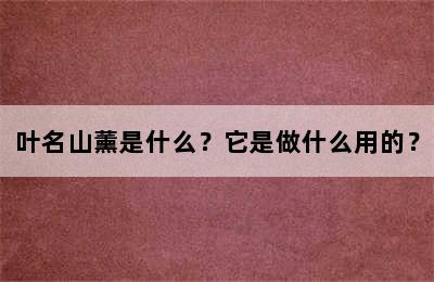 叶名山薰是什么？它是做什么用的？