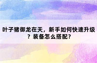 叶子猪御龙在天，新手如何快速升级？装备怎么搭配？