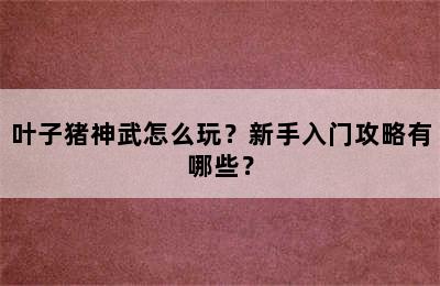 叶子猪神武怎么玩？新手入门攻略有哪些？