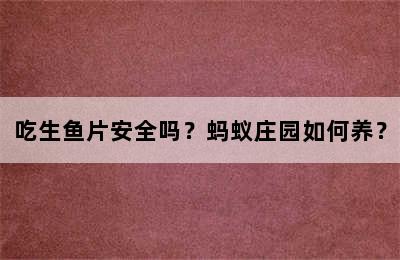 吃生鱼片安全吗？蚂蚁庄园如何养？