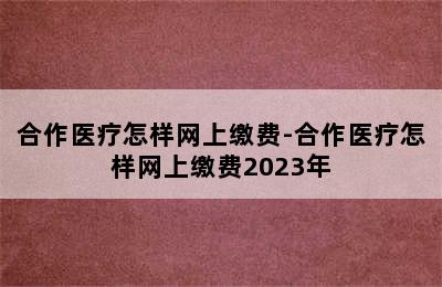 合作医疗怎样网上缴费-合作医疗怎样网上缴费2023年