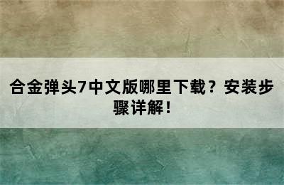 合金弹头7中文版哪里下载？安装步骤详解！