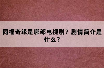 同福奇缘是哪部电视剧？剧情简介是什么？