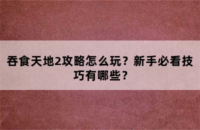 吞食天地2攻略怎么玩？新手必看技巧有哪些？