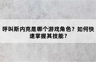 呼叫斯内克是哪个游戏角色？如何快速掌握其技能？