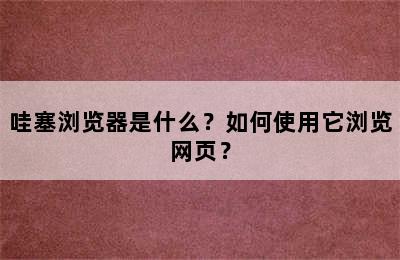 哇塞浏览器是什么？如何使用它浏览网页？