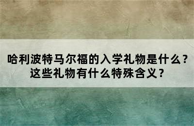 哈利波特马尔福的入学礼物是什么？这些礼物有什么特殊含义？