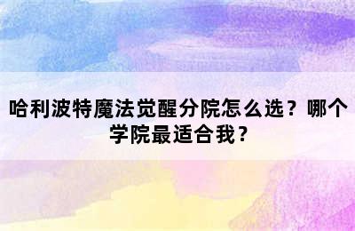 哈利波特魔法觉醒分院怎么选？哪个学院最适合我？