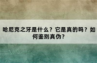 哈尼克之牙是什么？它是真的吗？如何鉴别真伪？