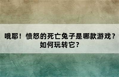 哦耶！愤怒的死亡兔子是哪款游戏？如何玩转它？