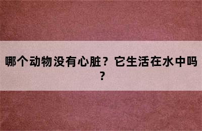 哪个动物没有心脏？它生活在水中吗？