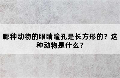 哪种动物的眼睛瞳孔是长方形的？这种动物是什么？