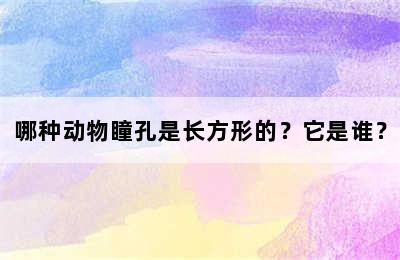 哪种动物瞳孔是长方形的？它是谁？