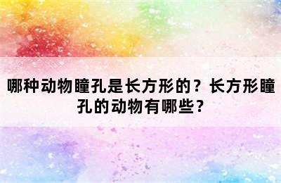 哪种动物瞳孔是长方形的？长方形瞳孔的动物有哪些？