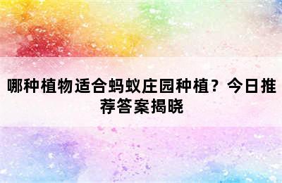 哪种植物适合蚂蚁庄园种植？今日推荐答案揭晓