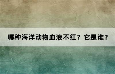 哪种海洋动物血液不红？它是谁？