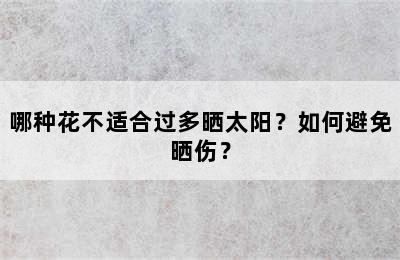 哪种花不适合过多晒太阳？如何避免晒伤？