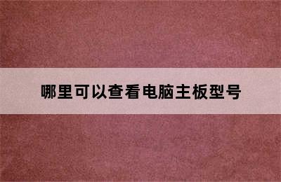 哪里可以查看电脑主板型号