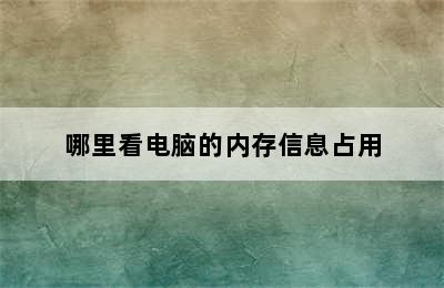 哪里看电脑的内存信息占用