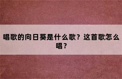 唱歌的向日葵是什么歌？这首歌怎么唱？