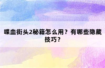 喋血街头2秘籍怎么用？有哪些隐藏技巧？