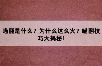 喵翻是什么？为什么这么火？喵翻技巧大揭秘！