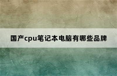 国产cpu笔记本电脑有哪些品牌