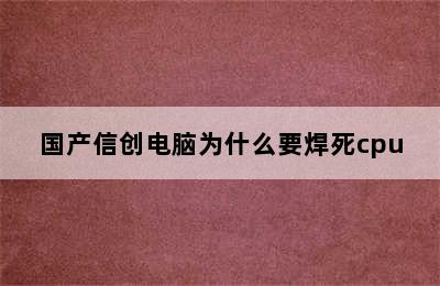 国产信创电脑为什么要焊死cpu