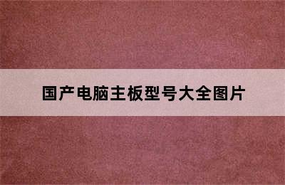 国产电脑主板型号大全图片